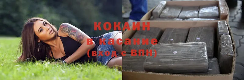 Cocaine FishScale  Богданович 