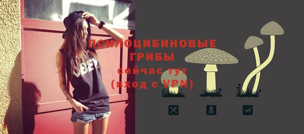 ECSTASY Видное