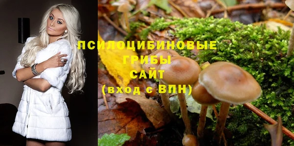 марки lsd Пересвет