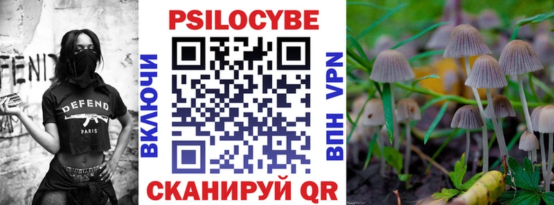 Псилоцибиновые грибы мицелий  продажа наркотиков  blacksprut tor  даркнет Telegram  Богданович 