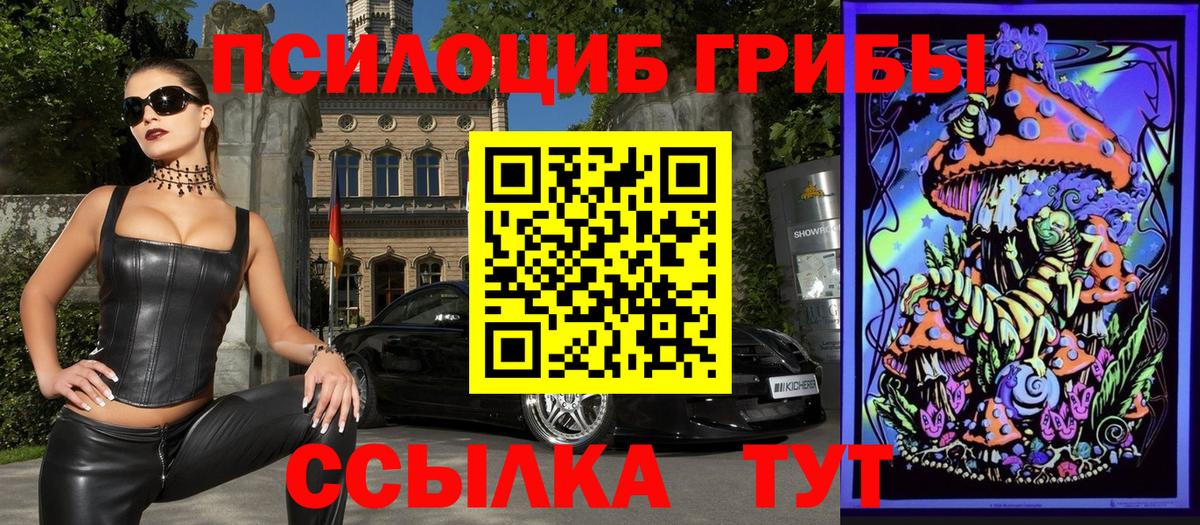 Псилоцибиновые грибы ЛСД Богданович